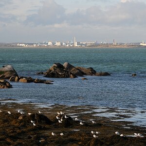 Dublin bay/ Harbour