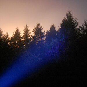 Taschenlampe bei Nacht