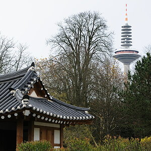 Morgentau-Pavillon und Ginheimer Spargel