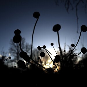 sonnenuntergang11 09w3
