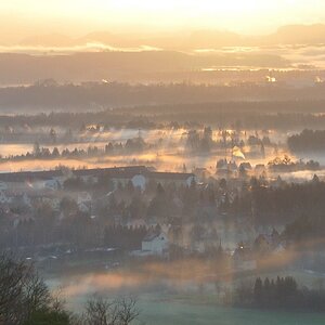 comp Pillnitz 20091207 081558Sonnenaufgang 01
