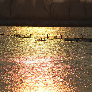 2006 01 26 16 19 31 1