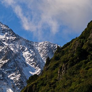 Schweiz nff