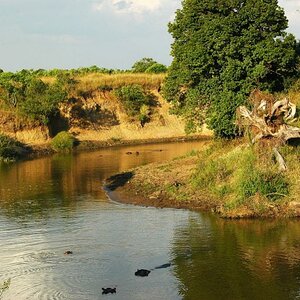 Talek River Massai Mara