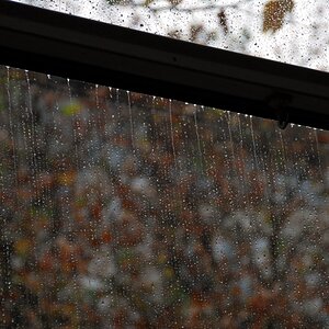 regen02w3
