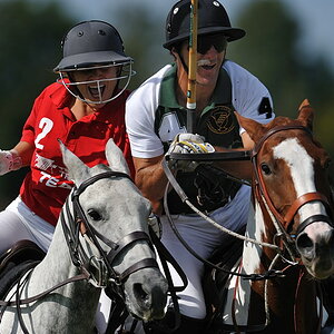 polo landsberg 20090906 152447 04 .