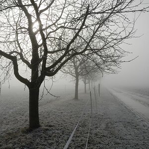 Entstanden Winter 2008