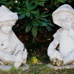DSC 0376(001)
