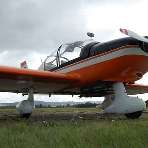 DSC 0806
