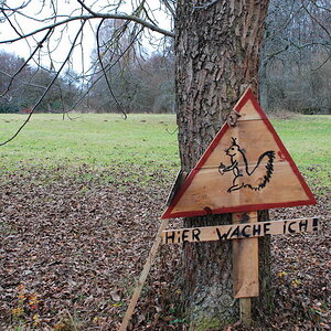 DSC 9311 Größe ändern