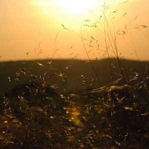 Sonnenuntergang 2