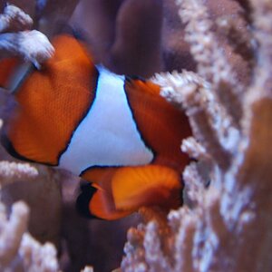 Besuch im ZOO 5