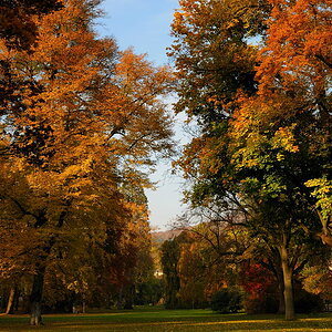 Park