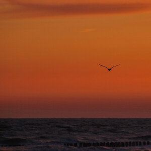 Nightflight