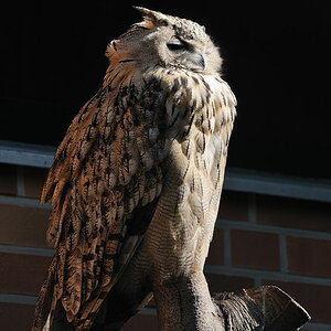 Tierpark Berlin-Friedrichsfelde