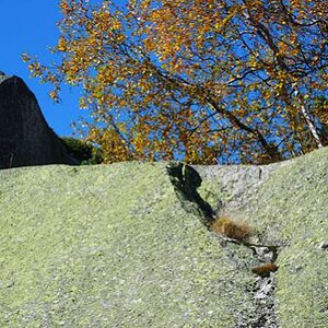 Urner Granit