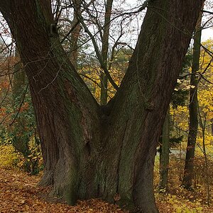 DSCF0640