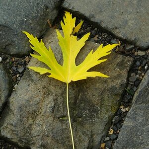 DSCF0657