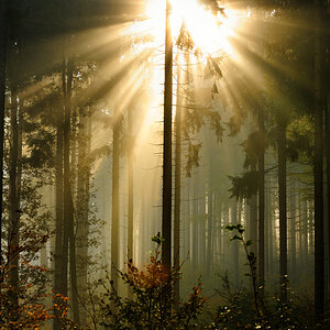 Holzland 03