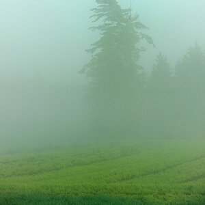 Holzland 02