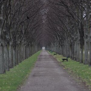 Herstblick in den Herrenhäuser Gärten, Hannover