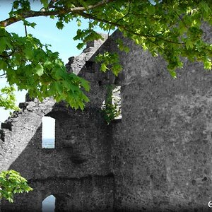 Blätter auf der Burg 1