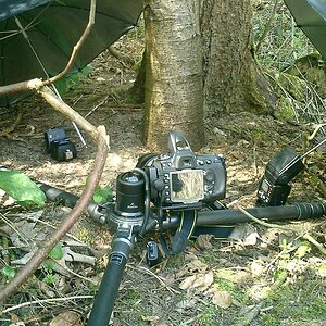 Making of