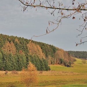 036 Anstieg aus Lauenstein, Impression