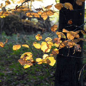 2009 10 30 16 29 13 1