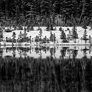 Foto von Calgary617