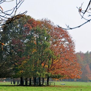 Herbst bei Schloss Nordkirchen