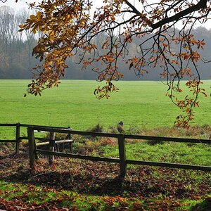 Herbst bei Schloss Nordkirchen