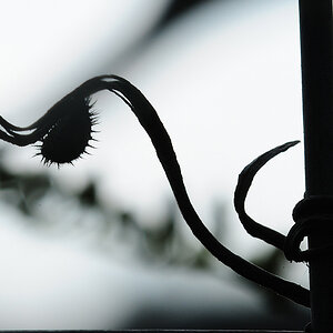A02 0549
Herbst