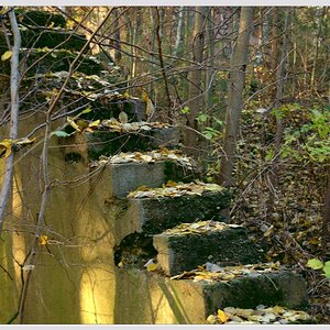 Treppe im Herbst 2