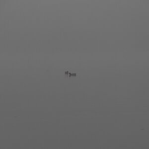 NF B 2008 11 02 10 26 40
