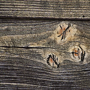 Holz1