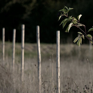 Herbst 07