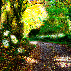 HDR Test mit höheren Kontrasten
Nikon D100
