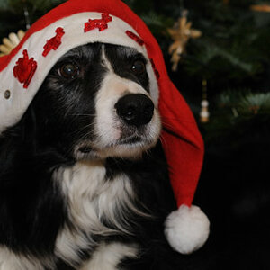 advent2009