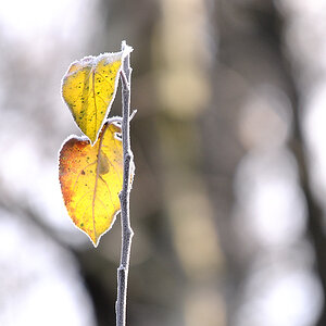 winterherbst