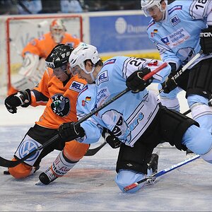 acomp Freezers Wolfsb 0133