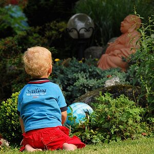 buddah