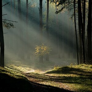 Sonne versus Nebel