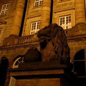Löwen-Statue vor Schloss Wilhelmshöhe in Kassel