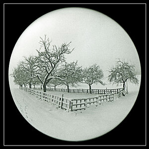 winter fisheye n