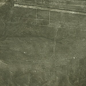Nasca   Kolibri