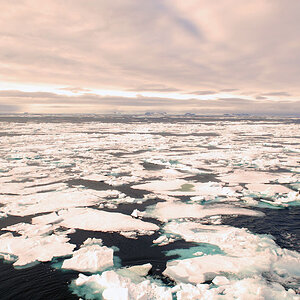 lockere Eisschollen im zentralen Franz Josef Land