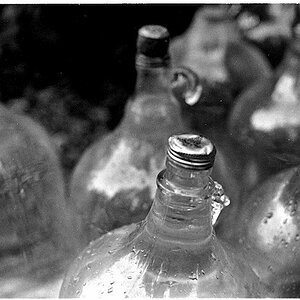 bottles