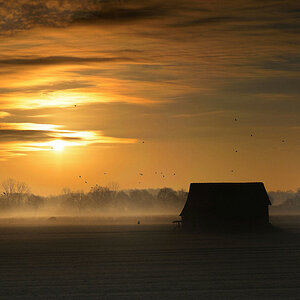 Wintermorgen Emsland 2