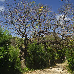 Impressionen aus Fernando de Noronha